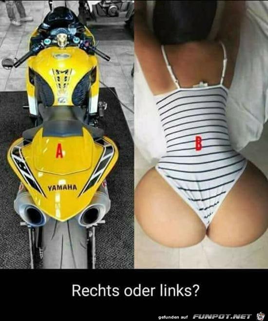 Gute Frage Gute Frage