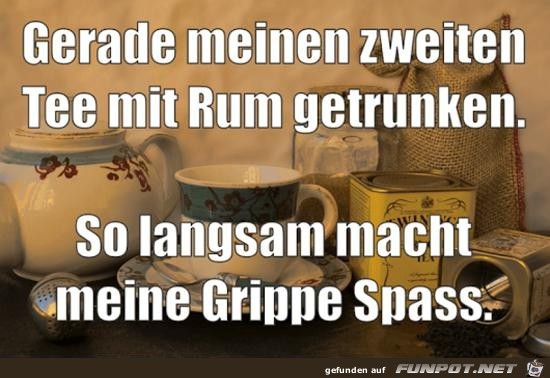 Grippe ist toll Grippe ist toll