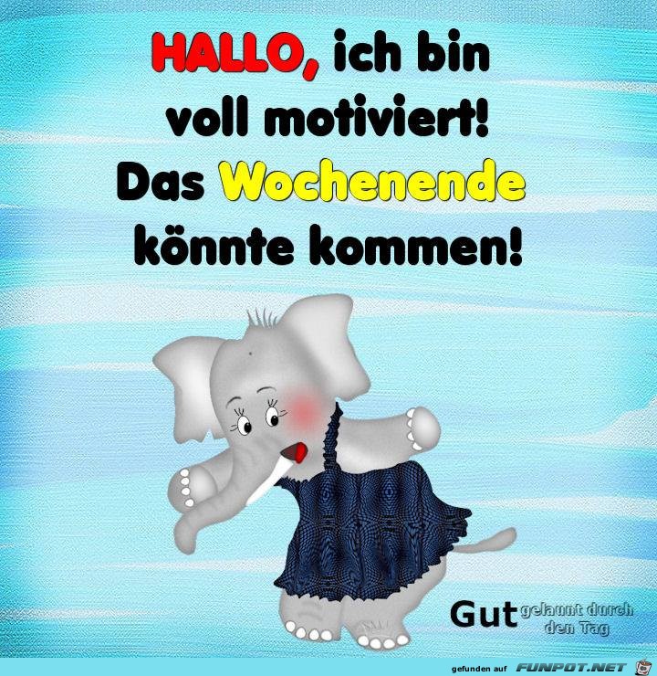 Hallo bin voll motiviert Hallo bin voll motiviert