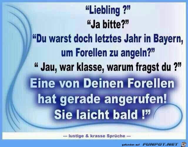 Forellen angeln