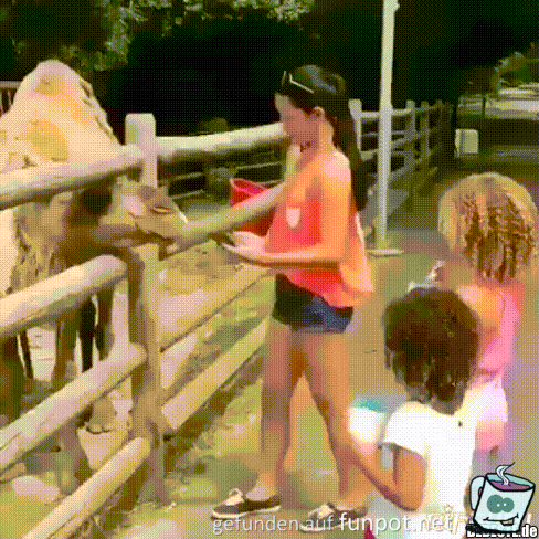 Ich bei dich
