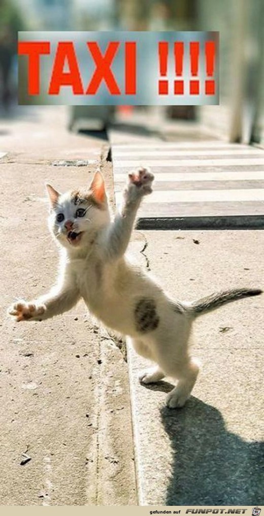 Taxi Taxi