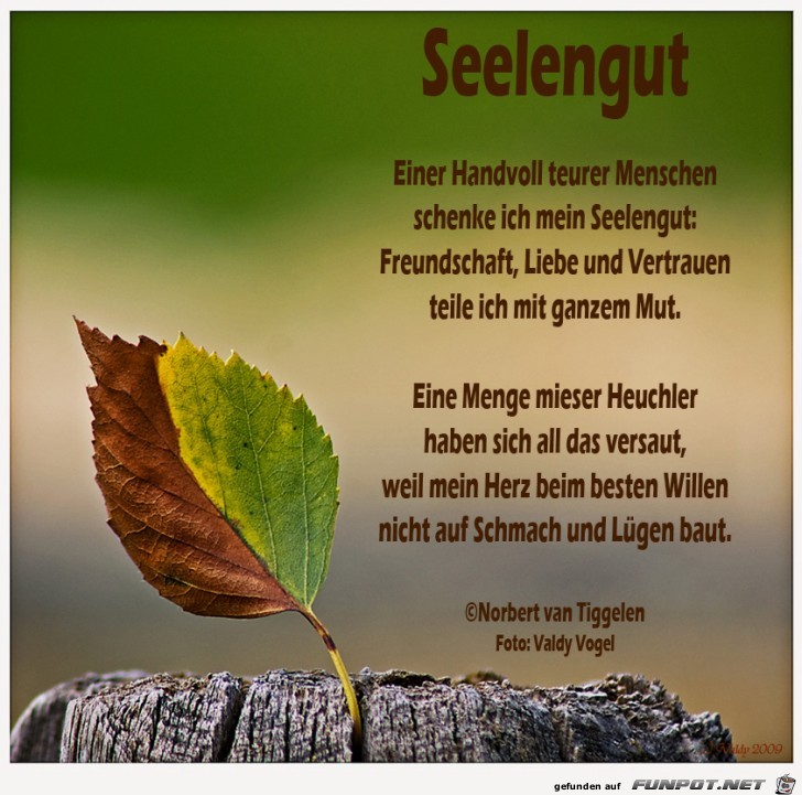 Seelengut 2018 Seelengut 2018