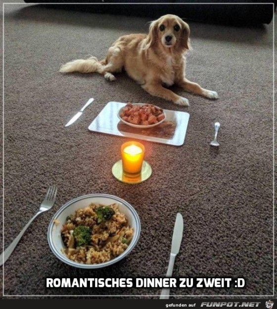 Romantisches Dinner zu zweit Romantisches Dinner zu zweit