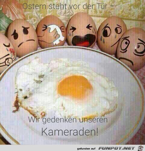 In Gedenken unserer Kameraden..... In Gedenken unserer Kameraden.....