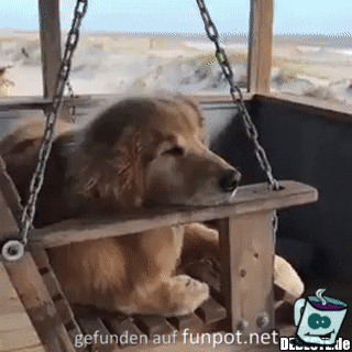 witzige animierte Bilder mit Hunden aus verschiedenen Blogs