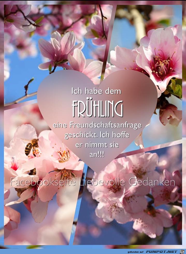 Fruehling Fruehling