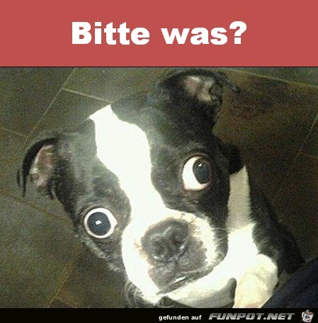 Bitte was Bitte was