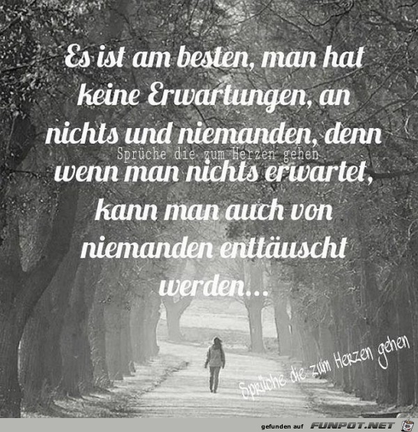 Keine Erwartungen