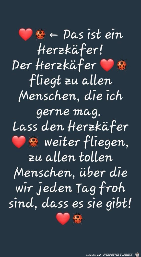Der Herzkäfer Der Herzkäfer