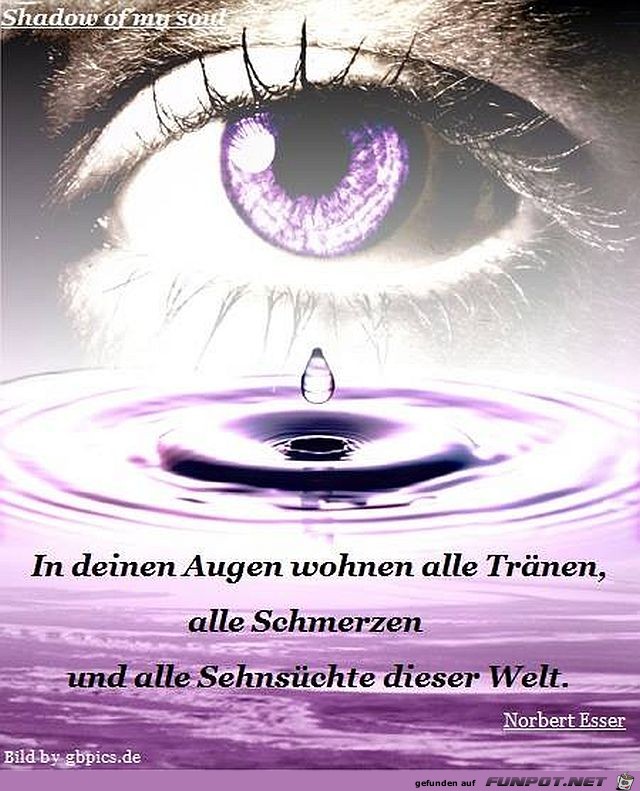 In Deinen Augen In Deinen Augen