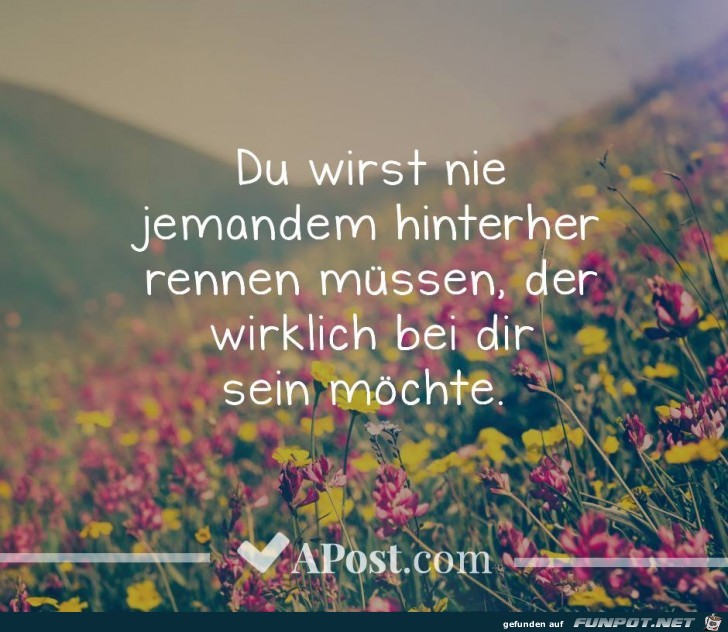 Du wirst nie Du wirst nie