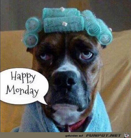 Montag Montag