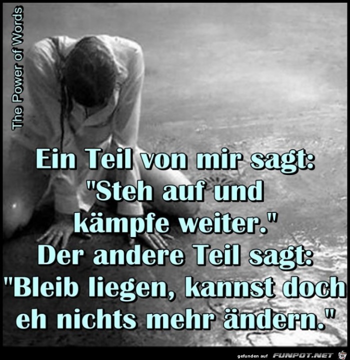 Ein Teil von mir sagt Ein Teil von mir sagt