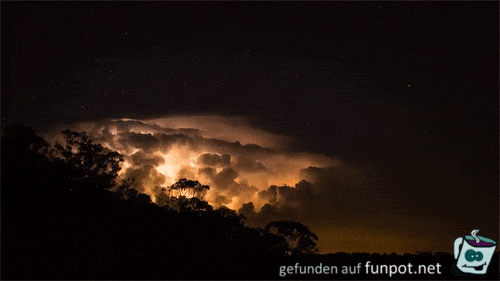 Bilder / Pictures