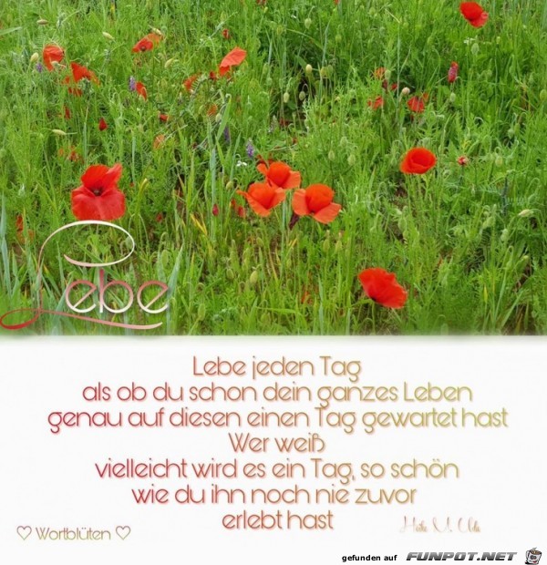 10 schne Sprche und Lebensweisheiten aus...