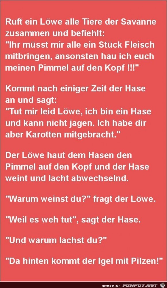ruft ein Löwe alle Tiere der Savanne..... ruft ein Löwe alle Tiere der Savanne.....