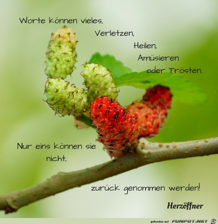 Worte koennen vieles verletzen Worte koennen vieles verletzen