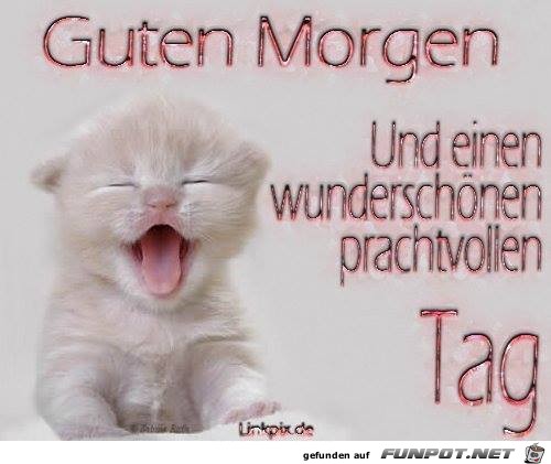 Guten Morgen Guten Morgen