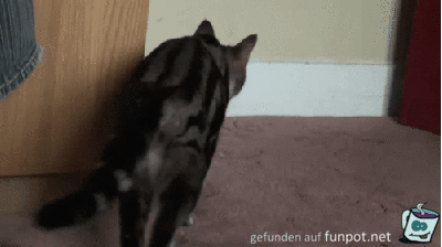 Cooles Versteck Cooles Versteck