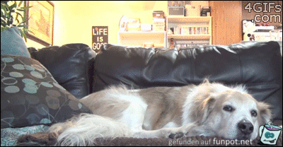 Kuscheln Kuscheln