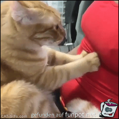 Massage 1 Massage 1