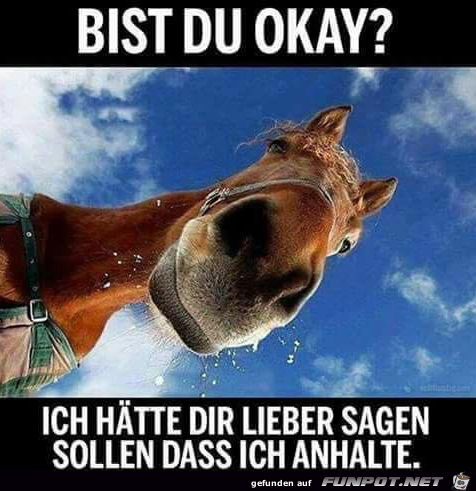 Bist du okay Bist du okay