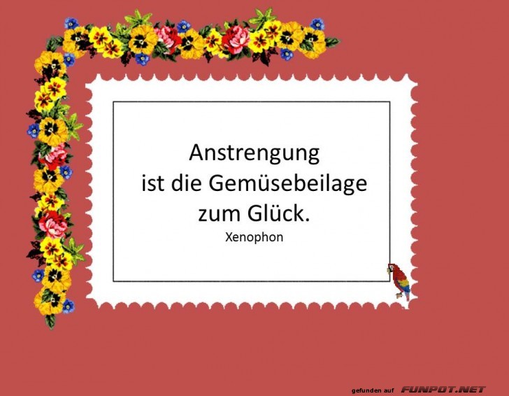 10 schne Sprche und Lebensweisheiten aus...