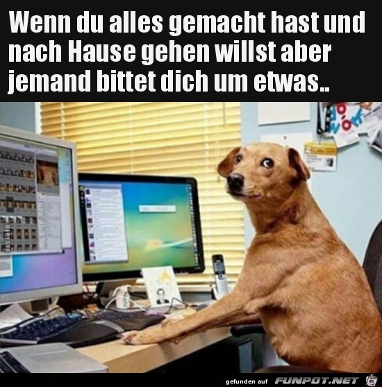 Keinen Bock Keinen Bock