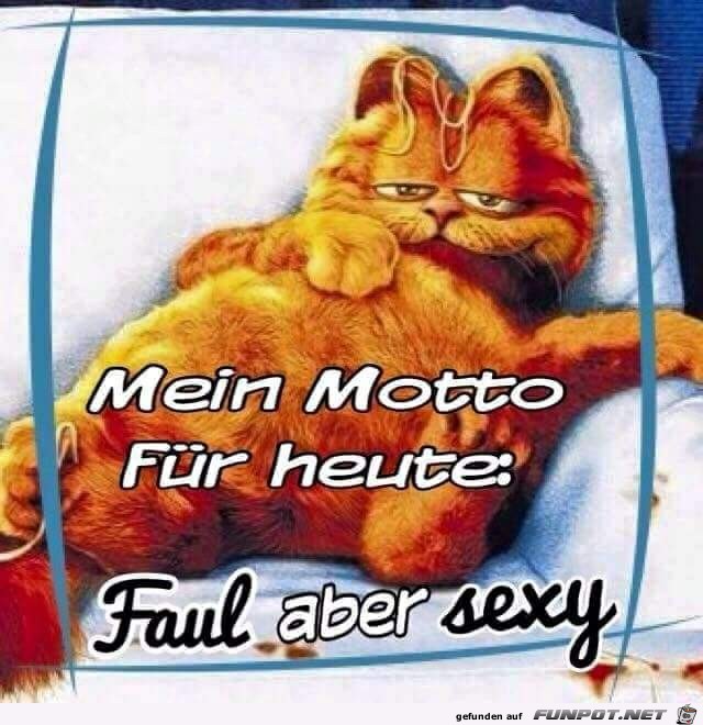 mein motto mein motto