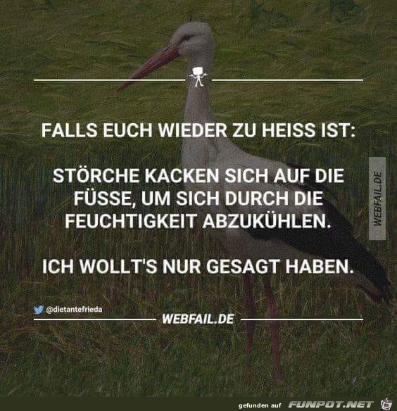 Falls Euch wieder zu heiss ist
