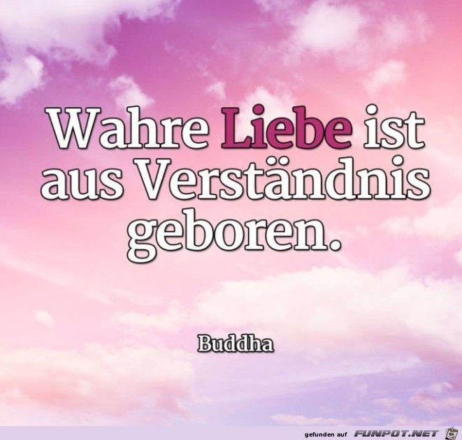 Wahre Liebe Wahre Liebe