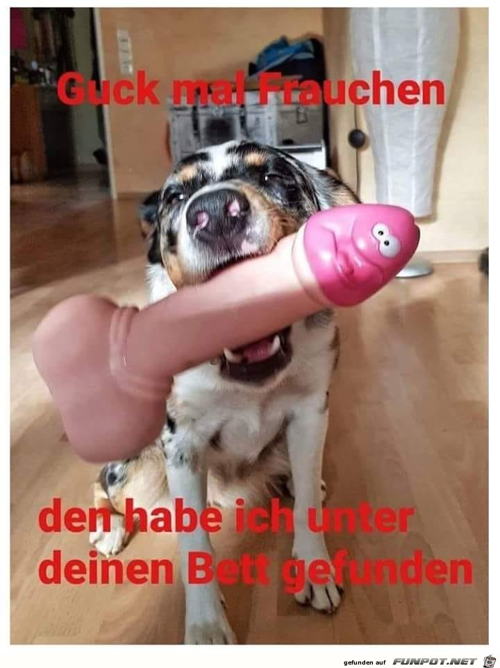 Guck mal Frauchen was ich gefunden habe Guck mal Frauchen was ich gefunden habe
