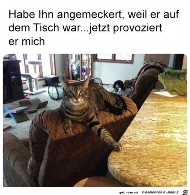 habe ihn angemeckert