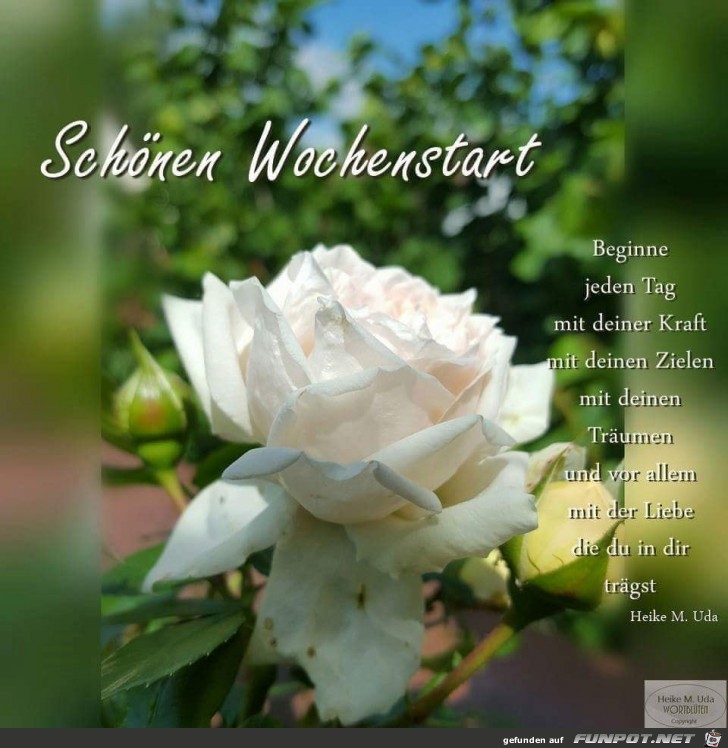 Download Sprueche wochenstart Free HD Sprueche Wochenstart