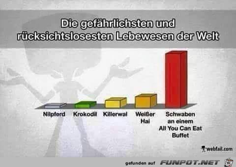 Die Schwaben Die Schwaben