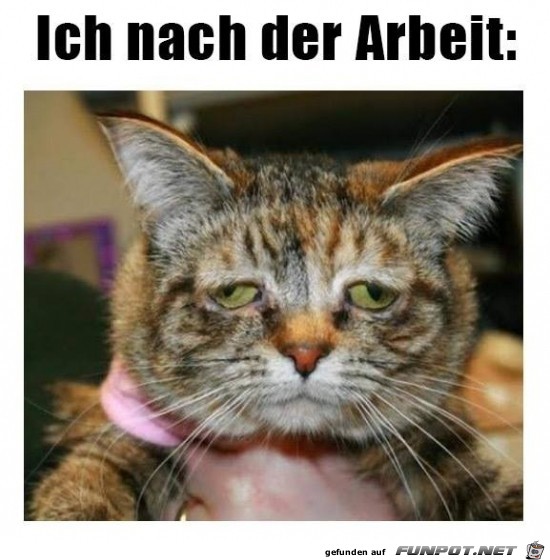War ein harter Tag War ein harter Tag