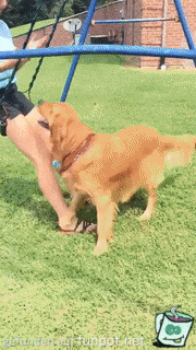 Ich will auch Schaukeln Ich will auch Schaukeln