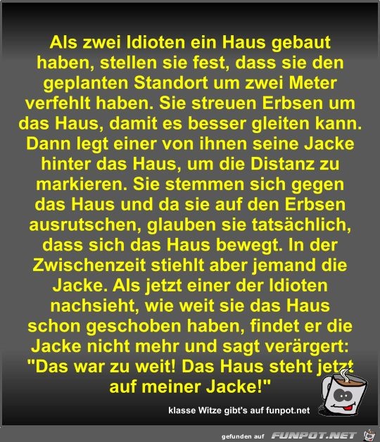 Als zwei Idioten ein Haus gebaut haben
