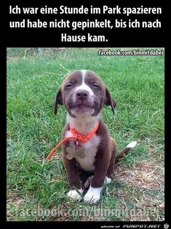 ich war eine Stunde ich war eine Stunde