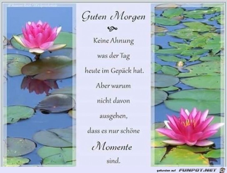 guten Morgen guten Morgen