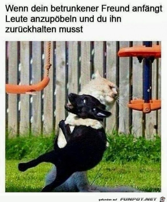 Lass das Lass das