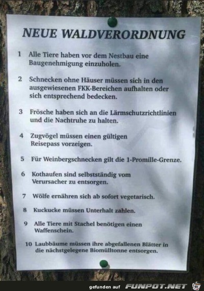 Hauptsache eine Verordnung Hauptsache eine Verordnung