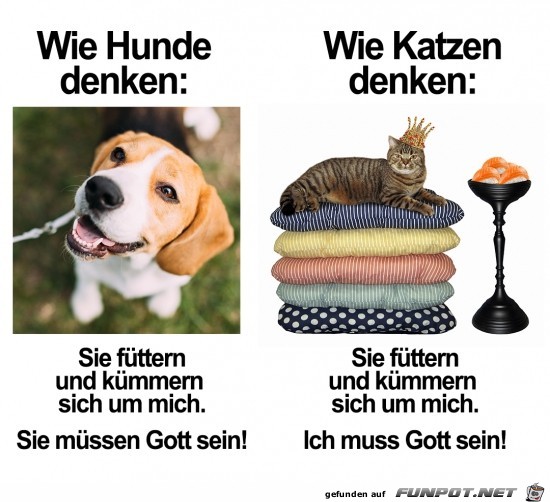 Ein kleiner Unterschied Ein kleiner Unterschied