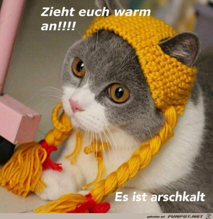 Es ist kalt Es ist kalt