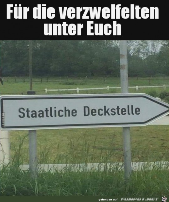 Fuer die verzweifelten unter Euch Fuer die verzweifelten unter Euch