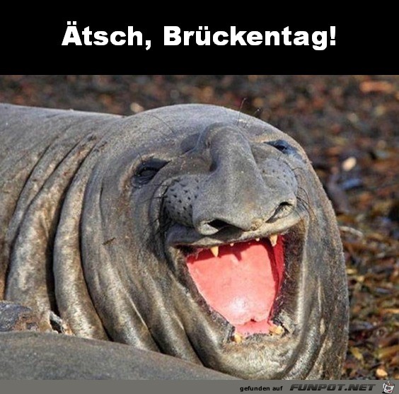 Brückentag Brückentag