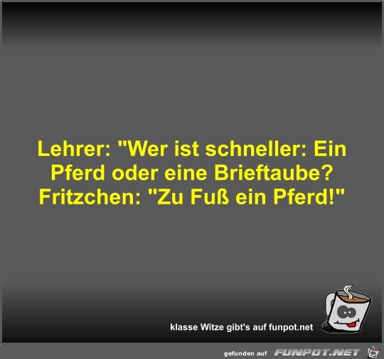 Lehrer: Wer ist schneller: Ein Pferd oder eine Brieftaube? Lehrer: Wer ist schneller: Ein Pferd oder eine Brieftaube?