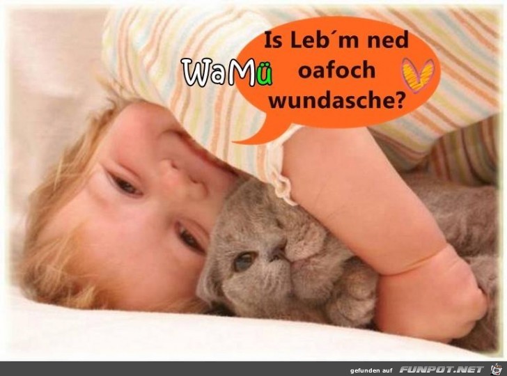 wundasche wundasche