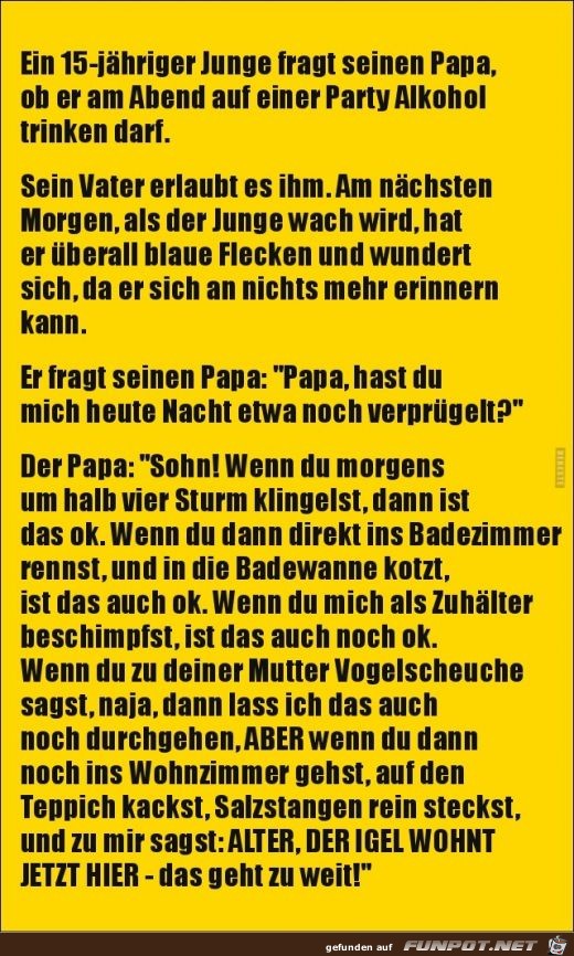 ein 15 jhriger geht auf eine Party......